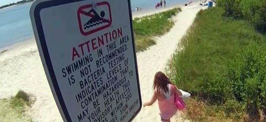 State continues precautionary swimming advisories along parts of Outer Banks in wake of Idalia