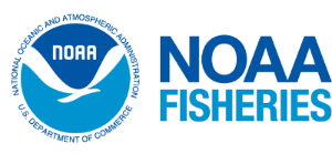 NOAA warns of fraudulent website claiming it sells state, federal fishery permits