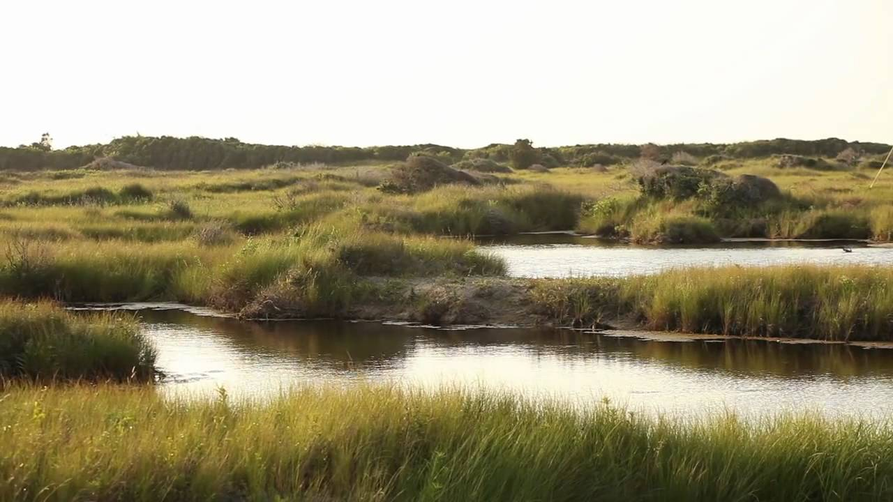 Dare County property owners with salt marsh asked to participate in survey