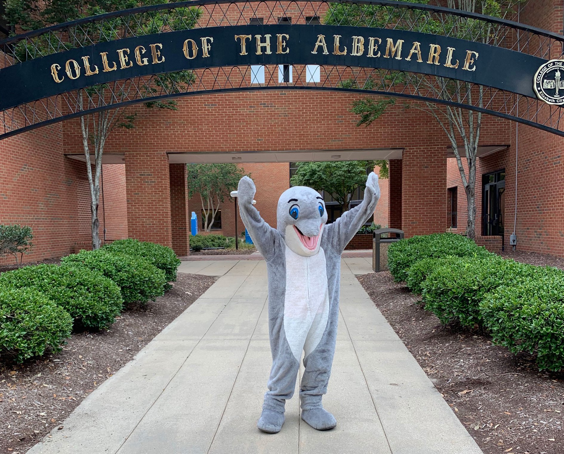College of The Albemarle to host film competition viewing on April 26
