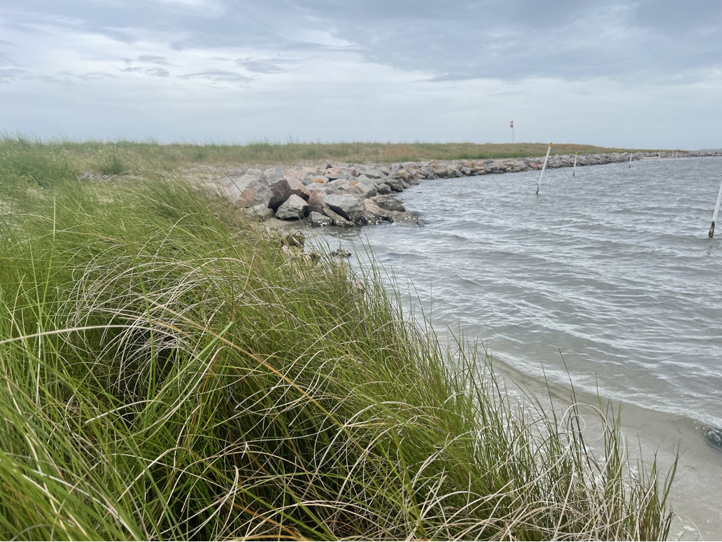 Coastal Review: Restoration firms show off living shoreline tech