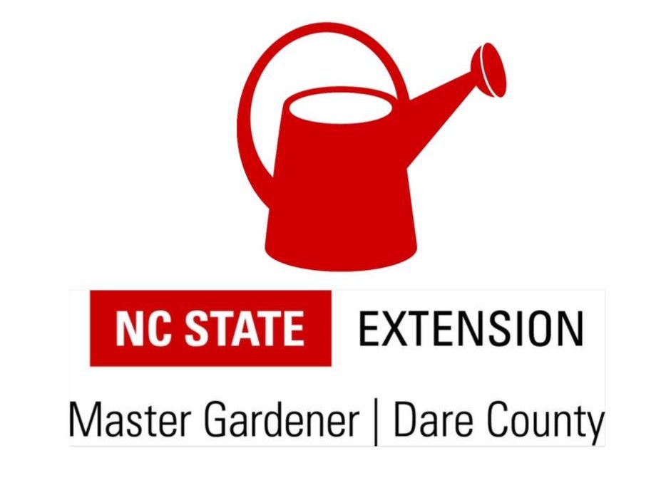 Dare County Master Gardeners Winter 2023 Garden Series continues