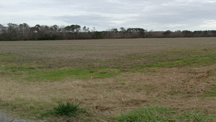 Farmland Preservation grants available through N.C. Dept. of Agriculture & Consumer Services