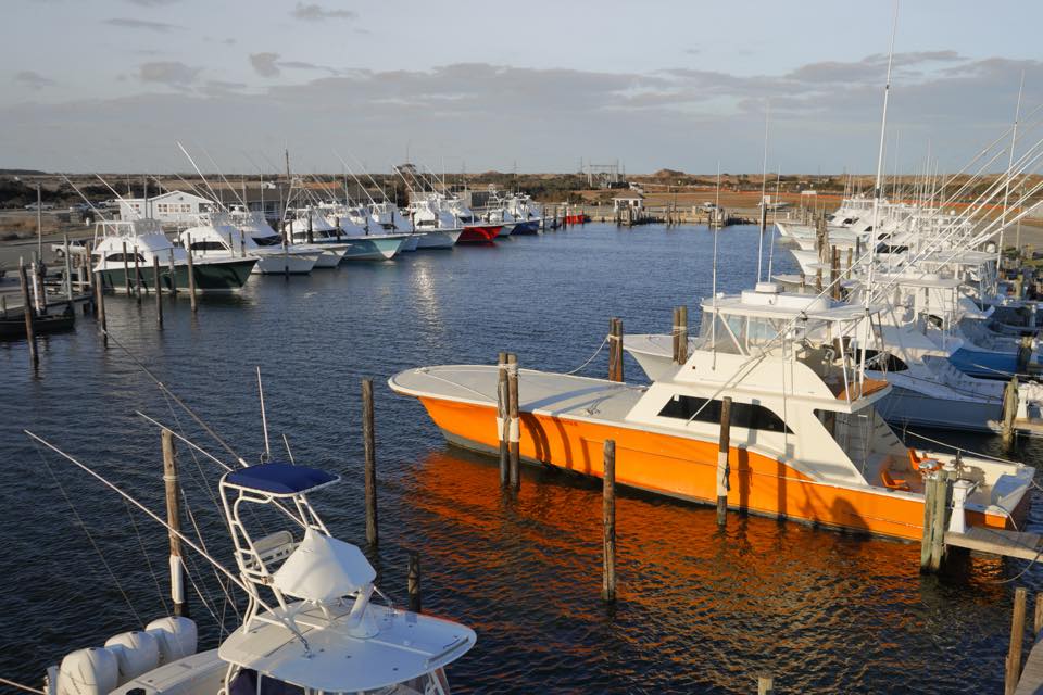 N.C. Division of Marine Fisheries conducting survey of for-hire fishing operators