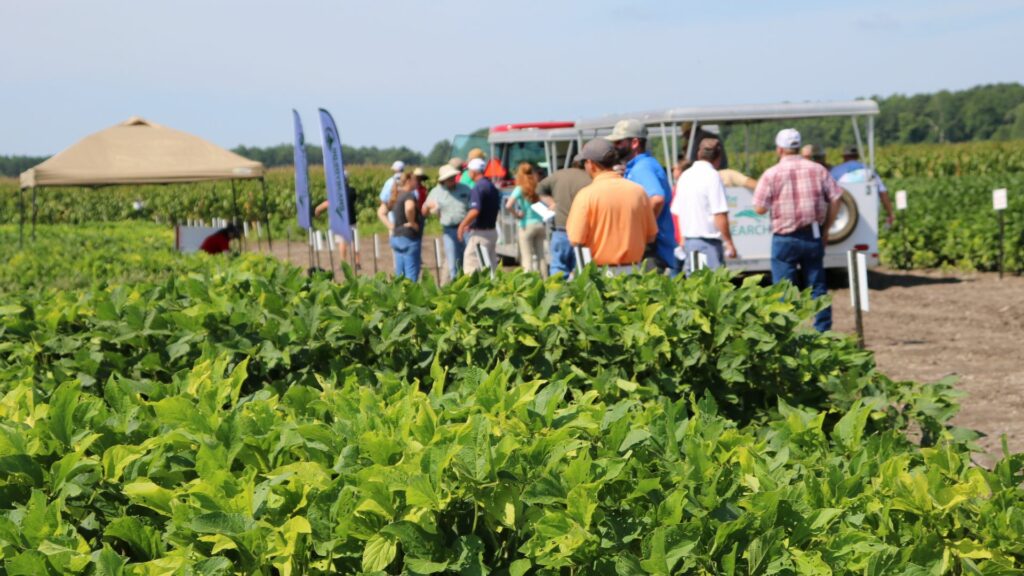 Small farmers invited to NENC Niche Agriculture Field Day on May 12